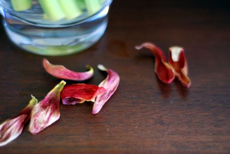 428447312_bb2bb6e06a_o