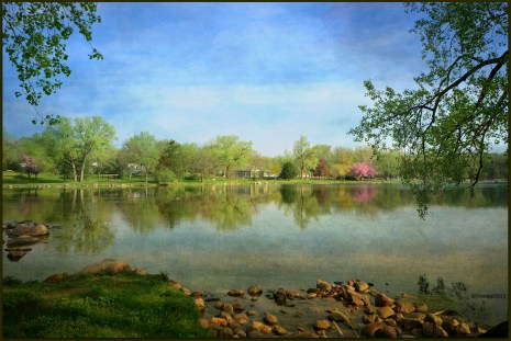 8754250165_98c5f17d7b_k