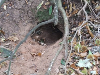 4285992318_39c699be64_b