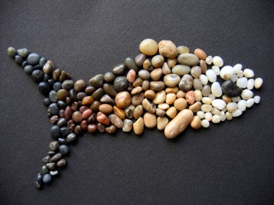 63386202_6077121627_b