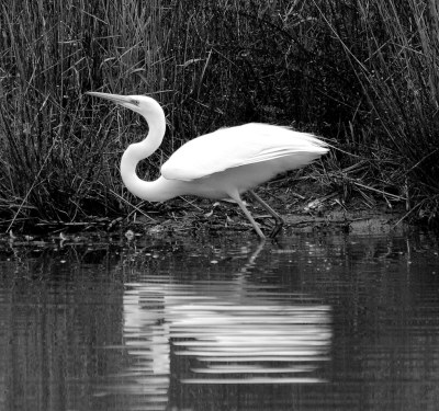 12497919084_2faec95fa9_b