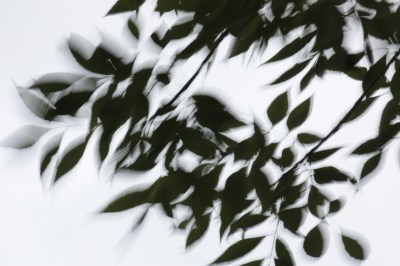 5861579737_250e330996_b