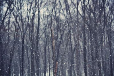 8507444415_5681bcb8bc_o