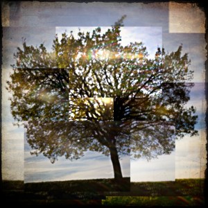 4315683721_2988bd1279_o