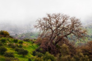 13722130495_2081586ddd_h