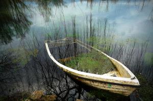 3238836601_08e731b2d7_o