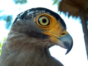 324313066_4e935d4948_d