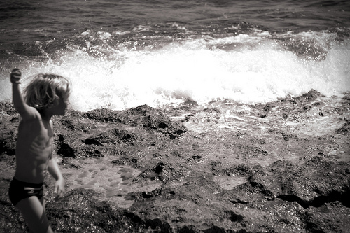 7938879986_06be10b03a_d