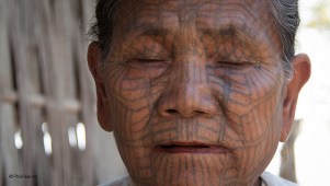 11747792794_a89e287d8c_z_d