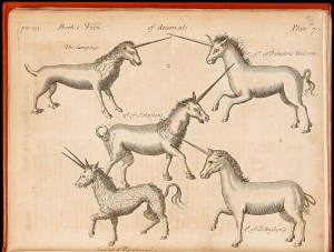 Unicorns all kinds.jpg