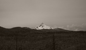 17096409248_52d4bd49d1