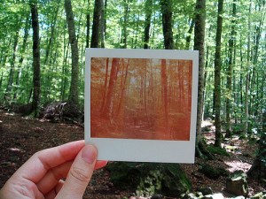 3871438779_89f7ec2ed7_z