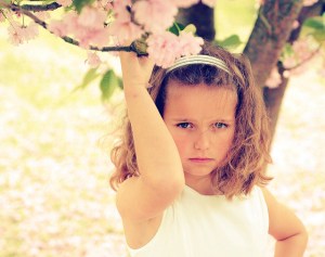 cherry blossoms by Philippe Put - 4428210967_42b0ce1db5_z