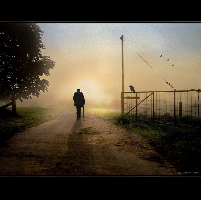 The open Gate - 5321539250_99af96dab1_z