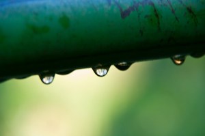 3593697248_137f8fc388_z