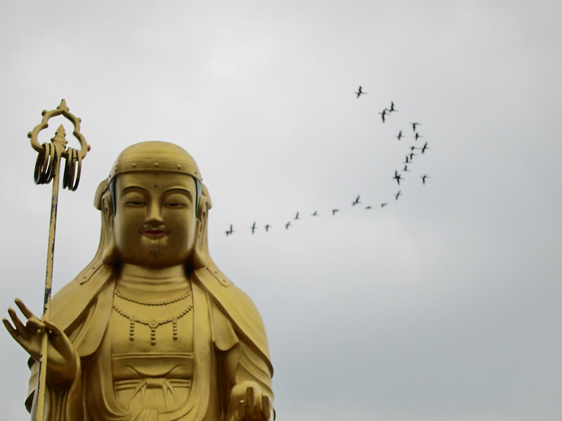 Buddha with birds_Ryan Bodenstein_Flickr_16717343026_58a673baba_c