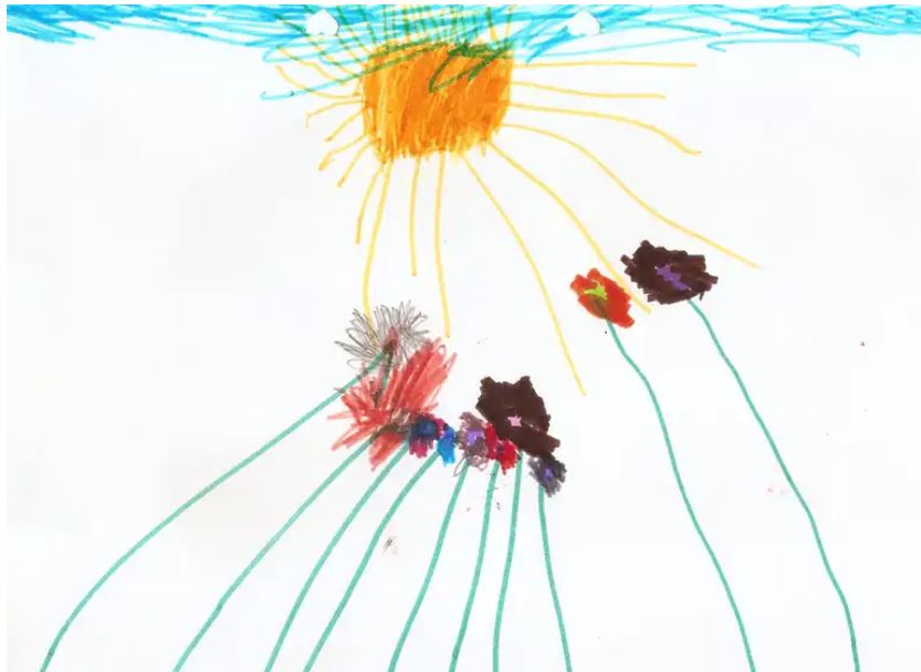 Childs_flowers_and_sun