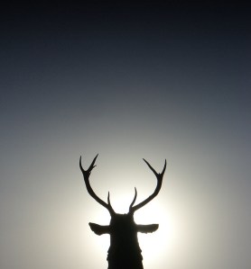 Nothing in word form (small) - 327635449_3c0ec68ed9_c